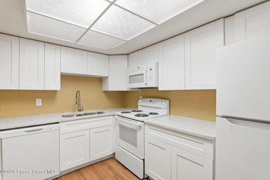 Updated and move-in ready, this spacious 3-bedroom, 2-full-bath - photo 13