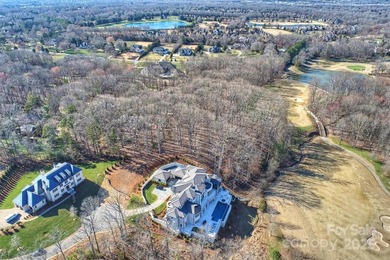 Introducing a masterpiece by Charlotte's premier builder - photo 15