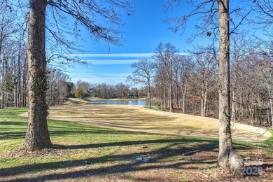 Introducing a masterpiece by Charlotte's premier builder - photo 16