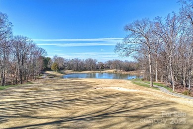 Introducing a masterpiece by Charlotte's premier builder - photo 17