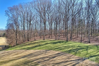 Introducing a masterpiece by Charlotte's premier builder - photo 18