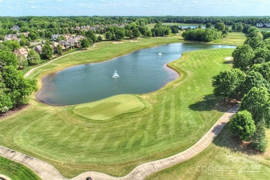 Introducing a masterpiece by Charlotte's premier builder - photo 22