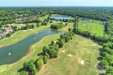 Introducing a masterpiece by Charlotte's premier builder - photo 23