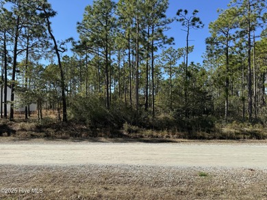 Boiling Spring Lake Lot For Sale in Southport North Carolina