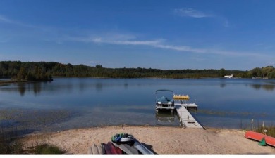 Lake Lot For Sale in Prescott, Michigan