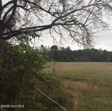 Intracoastal Waterway - Horry County Acreage For Sale in North Myrtle Beach South Carolina