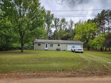 Lake Home For Sale in Lake, Michigan