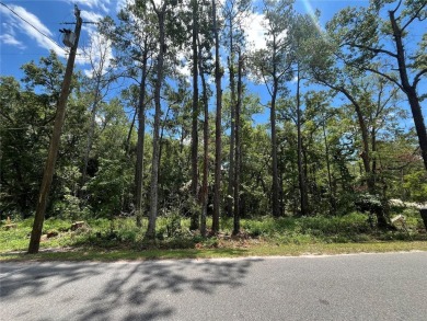 Lake Ellen - Wakulla County Lot For Sale in Crawfordville Florida