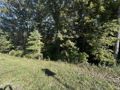 Watts Bar Lake Acreage For Sale in Rockwood Tennessee