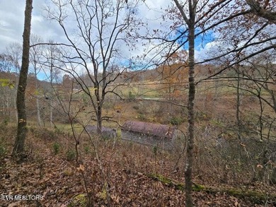 This property contains 28.25 acres +/-. A spring fed creek - photo 3