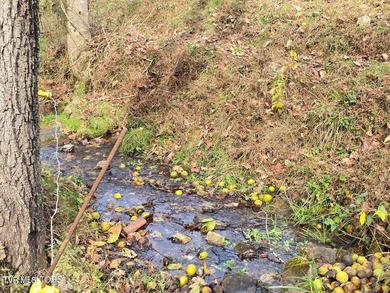 This property contains 28.25 acres +/-. A spring fed creek - photo 5