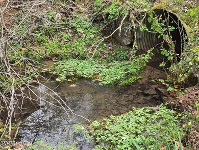 This property contains 28.25 acres +/-. A spring fed creek - photo 6