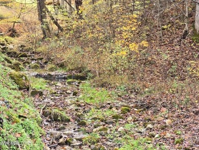 This property contains 28.25 acres +/-. A spring fed creek - photo 7