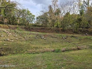 This property contains 28.25 acres +/-. A spring fed creek - photo 8