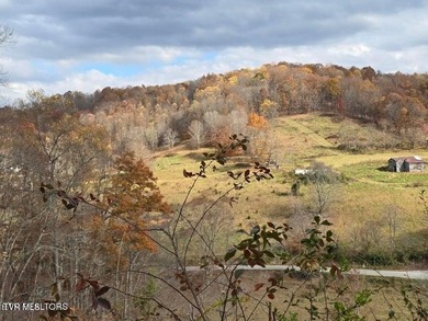 This property contains 28.25 acres +/-. A spring fed creek - photo 9
