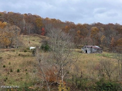This property contains 28.25 acres +/-. A spring fed creek - photo 10