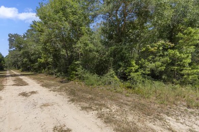 Introducing an exceptional opportunity to own a prime piece of - photo 8