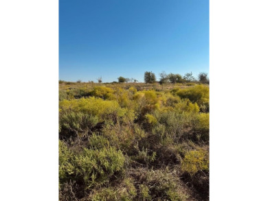 (private lake, pond, creek) Lot For Sale in Cresson Texas