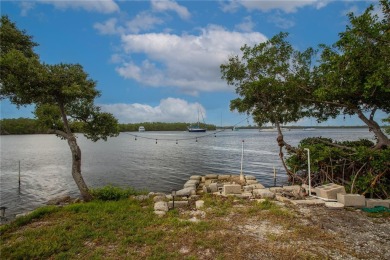 South Branch Manatee River  Lot For Sale in Ruskin Florida