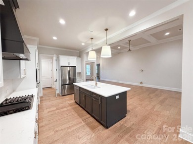 Step into 1020 Irish Creek Dr, a residence arranged for everyday - photo 2