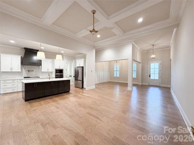 Step into 1020 Irish Creek Dr, a residence arranged for everyday - photo 8