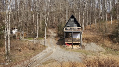 (private lake, pond, coastal) Commercial For Sale in Jonesville Virginia