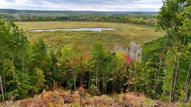 Lake Acreage For Sale in Ontonagon, Michigan