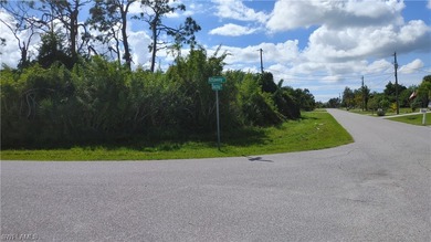 Port Charlotte Waterway Area Lot For Sale in Port Charlotte Florida