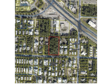 1.25 acres located in beautiful Inlet Beach just east of - photo 2