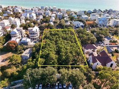 1.25 acres located in beautiful Inlet Beach just east of - photo 4