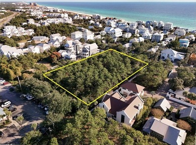 1.25 acres located in beautiful Inlet Beach just east of - photo 5