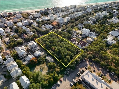 1.25 acres located in beautiful Inlet Beach just east of - photo 6