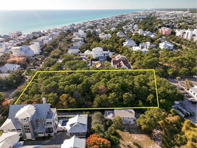 1.25 acres located in beautiful Inlet Beach just east of - photo 7
