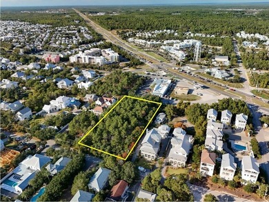 1.25 acres located in beautiful Inlet Beach just east of - photo 8