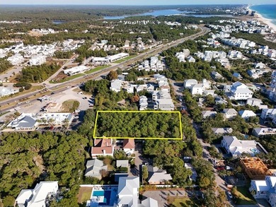 1.25 acres located in beautiful Inlet Beach just east of - photo 9