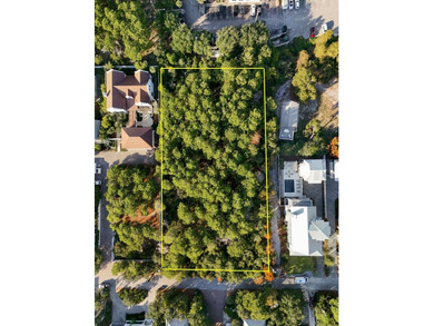 1.25 acres located in beautiful Inlet Beach just east of - photo 10