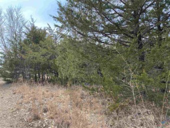 Lake of the Ozarks Lot For Sale in Warsaw Missouri