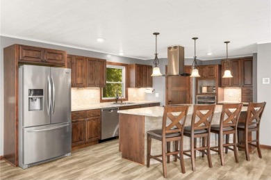 Lake Home For Sale in Franklin Twp, Minnesota