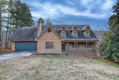 Nolichucky River Home For Sale in Erwin Tennessee