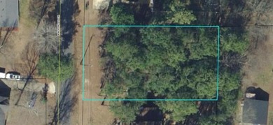 Swan Lake Lot For Sale in Stockbridge Georgia