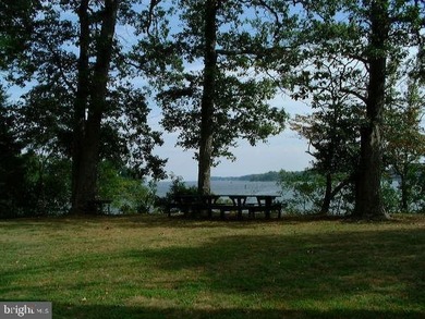 Rare opportunity to purchase 26 + acres of waterfront on the - photo 29