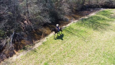 Welcome to your dream equestrian retreat, where timeless - photo 32