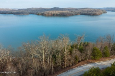 Lake Acreage For Sale in Rockwood, Tennessee