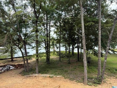 Rare opportunity to own a stunning new construction waterfront - photo 42