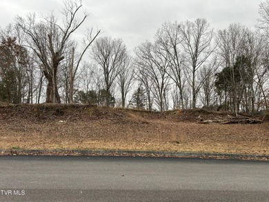 Holston River - Hawkins County Lot Sale Pending in Mount Carmel Tennessee