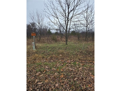 Lake Lot For Sale in Linn Valley, Kansas
