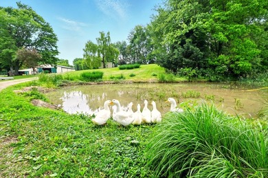 Private 92-Acre Organic Farm & Homestead | Gambier, Ohio | Knox - photo 14