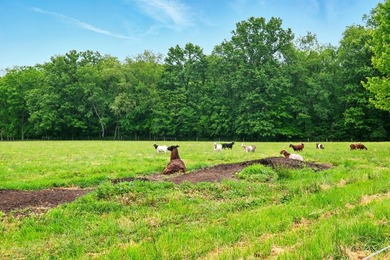 Private 92-Acre Organic Farm & Homestead | Gambier, Ohio | Knox - photo 15