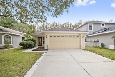 Lake Home Sale Pending in Land O Lakes, Florida