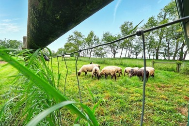Private 92-Acre Organic Farm & Homestead | Gambier, Ohio | Knox - photo 23
